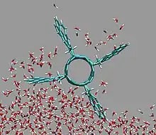 An example of a molecular propeller pumping water molecules due to its hydrophobic surface