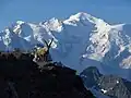 View of Mont Blanc from Mont Buet