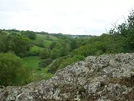 Valley of Bray Creek