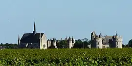 A general view of Montreuil-Bellay