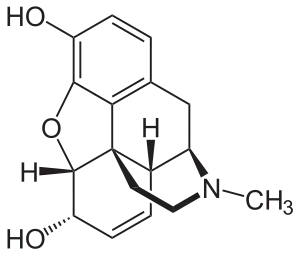 Chemical structure of morphine.