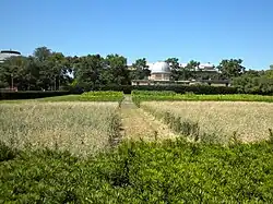 Looking north toward the Astronomical Observatory