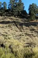 Negative environmental effects caused by motorcycles to a portion of the Los Padres National Forest