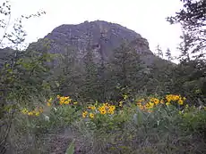 Looking up at the east face of Mount Boucherie.