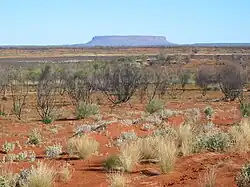 View across sand plains and salt pans to Mount Conner, Central Australia