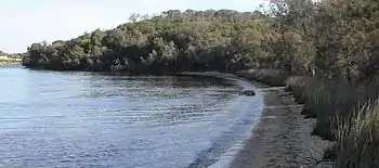 Mount Henry Shoreline, Aquinas Bay.