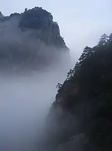 Huangshan pines on Mount Lushan, Jiangxi