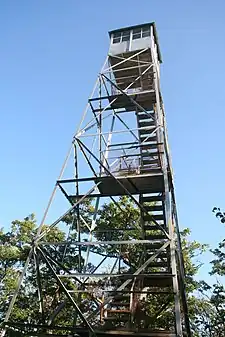 A latticed silvery metal structure seen from below tapering to a small cabin on top, with stairs climbing on the inside. There are some trees with compound leaves behind it.