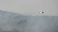 Cyprus Police Aviation Unit Bell 412EP participating in fire fighting efforts in Israel, during the 2010 Mount Carmel forest fire