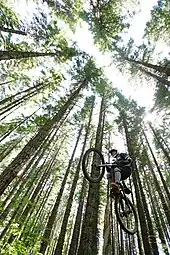 Mt. Hood National Forest receives heavy recreational use