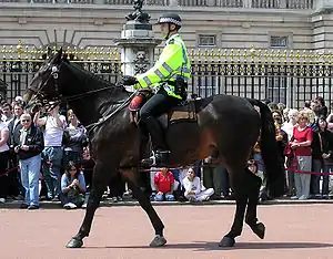 Mounted officer of the Metropolitan Police at Buckingham Palace with the Sillitoe tartan rimming the helmet, London