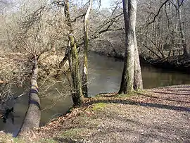 Confluence of the Grande and Petit Leyre at Moustey