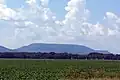 A flat, green, agricultural field with a rising Mount Nebo in the background.