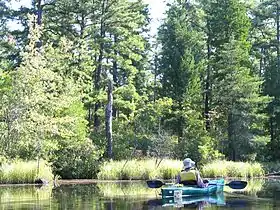 Kayaking on the Mullica River