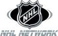 Silver logo used from 2005 - 2007. Original logo from 2001 - 2005 used original NHL logo colours; black and orange