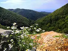 Kozara National Park