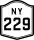 NY 229