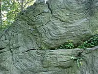 Manhattan schist outcropping in New York City's Central Park