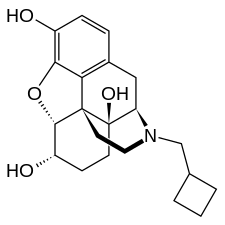 Chemical structure of nalbuphine.