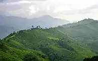 Rte 1256 snaking towards Doi Phu Kha National Park