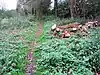 Narborough Bog