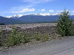 A field of moss-covered rocks with a couple trees in the foreground and snow-covered mountains in the background.