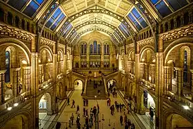 The Main Hall, The Natural History Museum, note the cast-iron roof trusses, with the ceiling panels painted with plants from across the World, the skylights are the main source of light and the imperial staircase rises to the first floor on the end wall, the hall has aisles and on the floor above galleries, as in the nave of a Romanesque cathedral