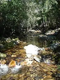 Francia River on Las Casas del Conde