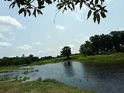 Skyline of Parshuram, Bangladesh