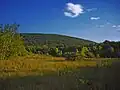 A mountain in the park