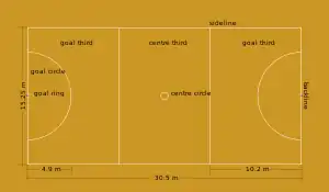 Diagram of netball court. The court is divided into thirds. Dimensions and positions are listed on the diagram.