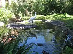 Crane in an exhibit