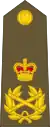 (New Zealand Army)