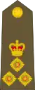 Brigadier(New Zealand Army)