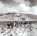 Mule caravan of Newar merchants, 1943.