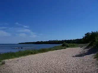 Looking south at the beach