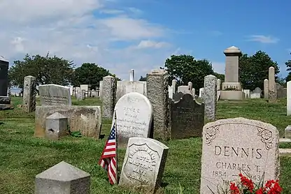 Island Cemetery in 2009