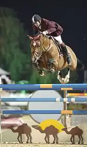 Nick Skelton, pictured in 2006, was part of the British team that won the team jumping