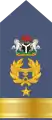 (Nigerian Air Force)