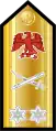 Rear admiral(Nigerian Navy)