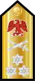 Vice admiral(Nigerian Navy)