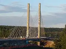 A cable-stayed bridge with a backdrop of coniferous forest