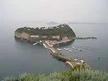 A small island with steep, low cliffs viewed from a distance. Much of the island is covered in greenery, and several multi-storey buildings of white, tan, or red are visible on the near side. Other islands are visible in the distant waters.