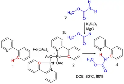 Nitrene amidation