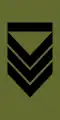 Sersjant 1. klasse(Norwegian Army)