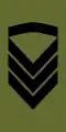 Oversersjant(Norwegian Army)