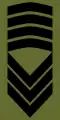 Sersjantmajor(Norwegian Army)