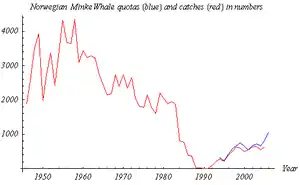 Line chart that shows catches peak at >4,000 in the 1950s, decline to 0 in the late eighties and increase to >1,000 by 2006