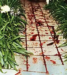 Blood and footprints on the sidewalk