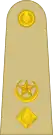 Pakistan Army Lieutenant Colonel